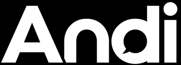 Andi AI